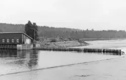Nåledammen ved Svanfoss i Nes kommune på Øvre Romerike i Ake