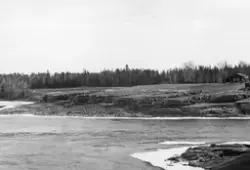 Strøvelter ved Glomma, fotografert 1. mai 1941. Fotografiet 