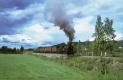 Damplokomotiv 24b nr. 236 med veterantog mellom Flisa og Gri