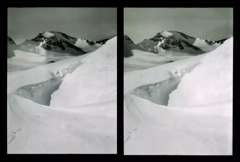 Bildet forestiller et snølandskap. Det er to bilder som er litt forskjøvet i forhold til hverandre. Om man ser på det i en stereo Viewer blir det et 3D bilde.