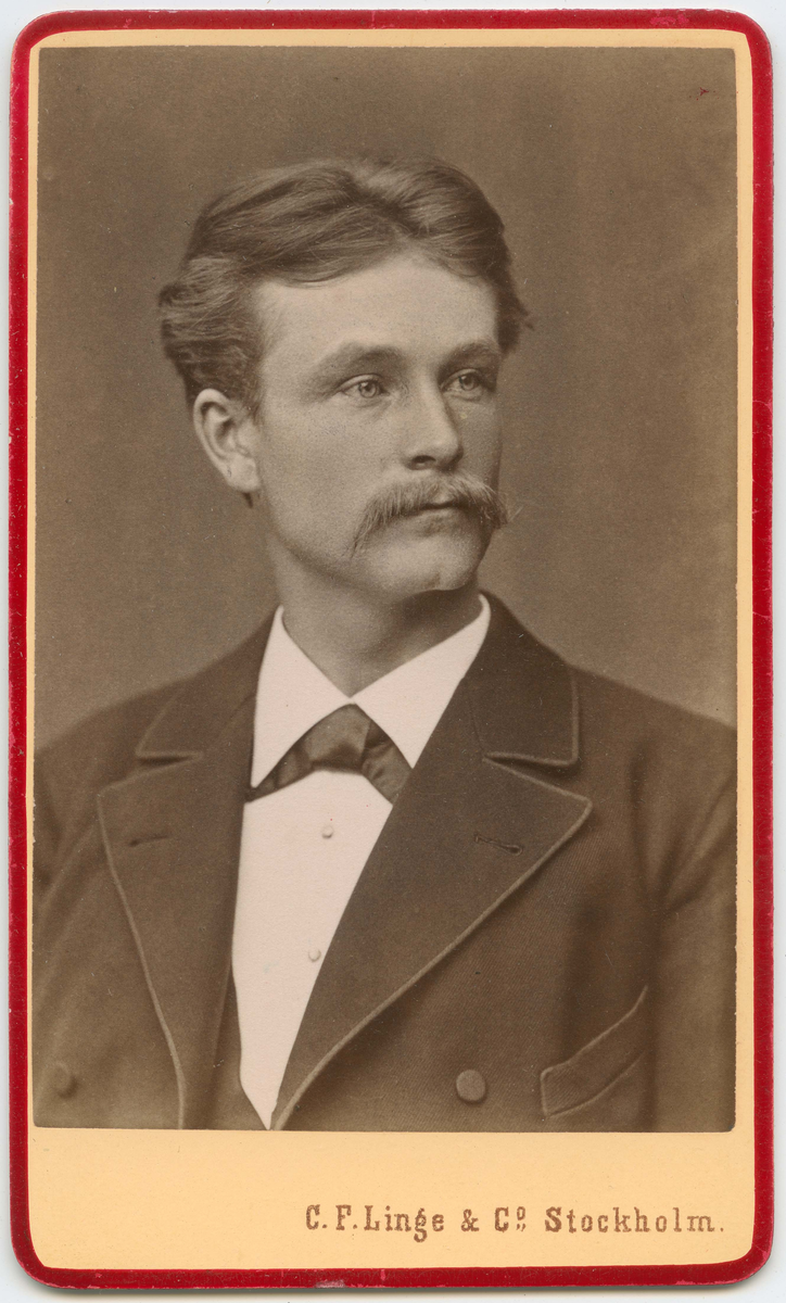 Lundberg, Johan Teodor (1852 - 1926)