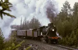 Damplokomotiv 24b 236 med veterantog mellom Bjørgo og Tonsås