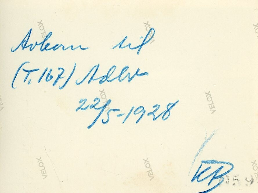 Avkom til oksen Adler 22.5.1928