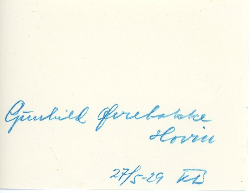 Kyr.  Ein av budeiene er Gunhild Øvrebakke frå Hovin.  Tatt 29.5.1929.