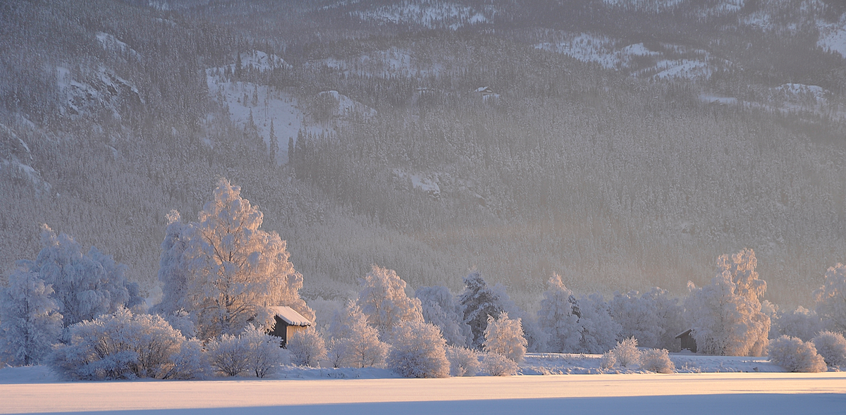Vinter i Nesbyen
«Håvardsøynan» i vinterdrakt sett fra rv. 7 ved søndre avkjøring til Nesbyen.

