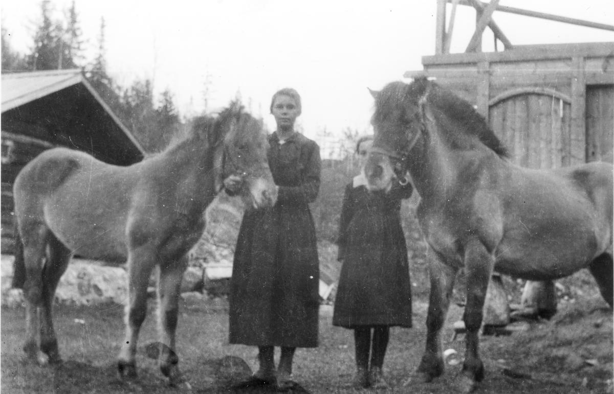 Jenter med hest
Fra h Arnhild Holm g. Andersen og Klara Hom g. Jorde (1903-1982)

