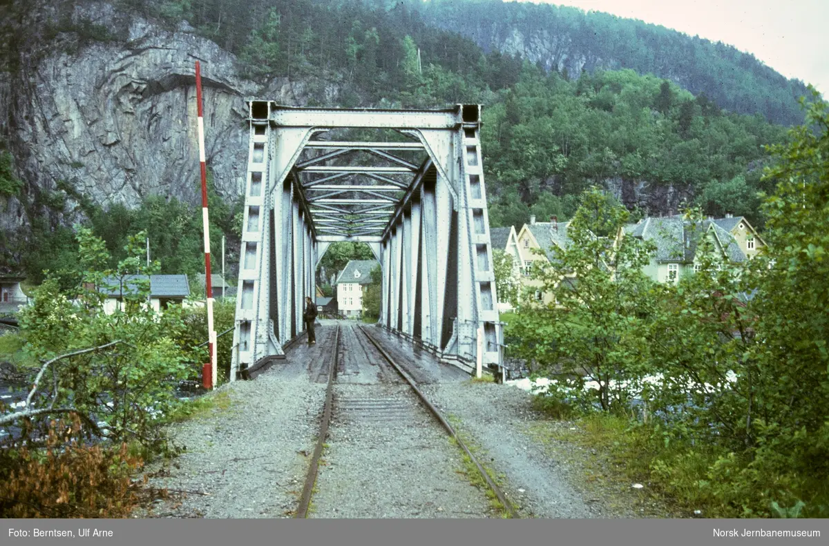Bergen Kommunale Kraftverks sidespor fra Evanger stasjon til kraftverket