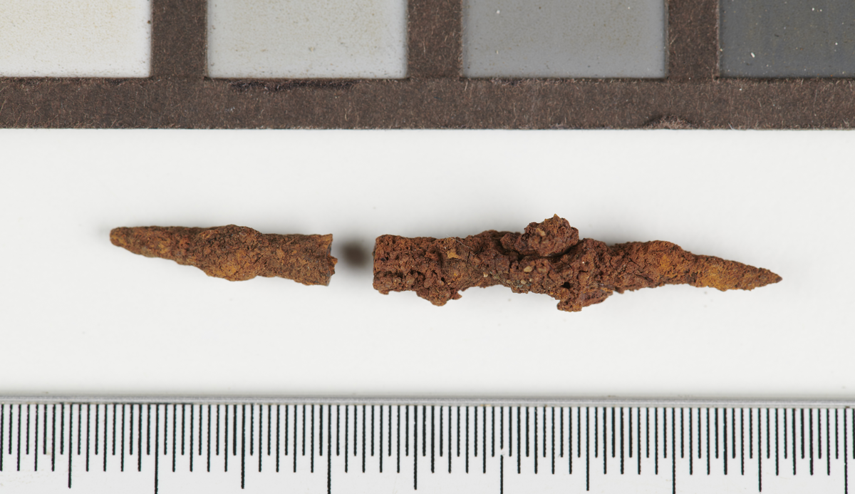 5 nagler av jern. Rundt tverrsnitt. Fire av gjenstandene er kun delvis bevart, mens én nagle som foreligger i to fragmenter er spiss i begge ender. Mål: L: 4,2 cm. T: 0,4 cm. Vekt: 4,3 gram.
