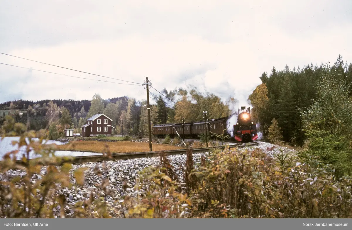 Damplokomotiv 26c nr. 411 med veterantog ved Trevatn holdeplass på Valdresbanen