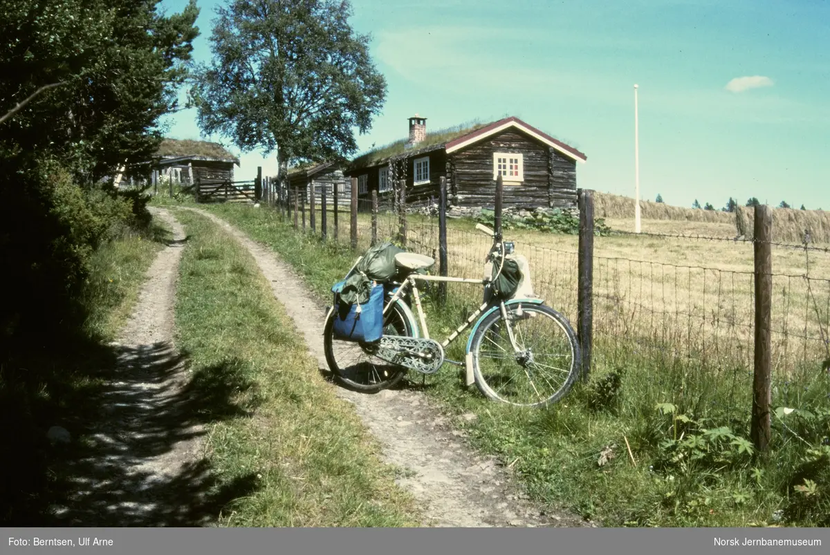 På sykkel ved Kvannrøstvangen i Tynset kommune