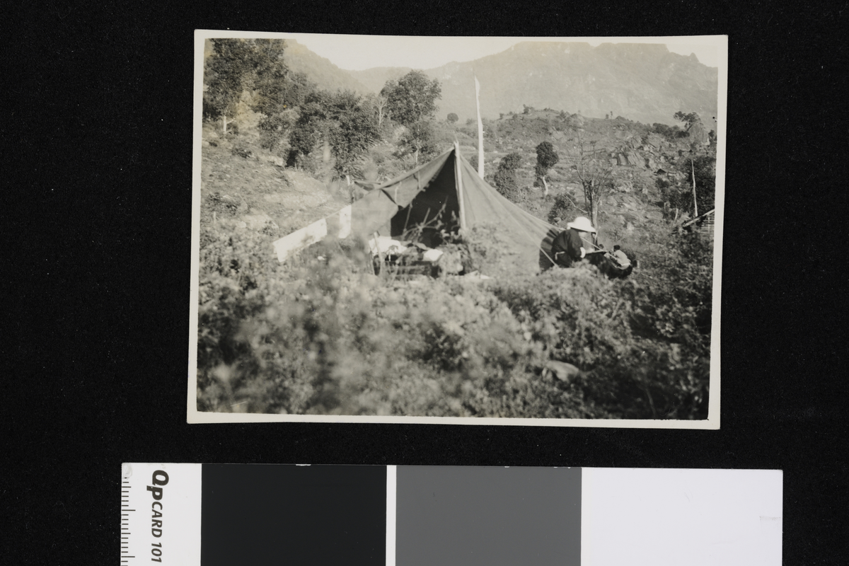 Meyers reisefelle (frk Scott) i Sikkim utenfor teltet. Fotografi tatt i forbindelse med Elisabeth Meyers reise til India 1932-33.