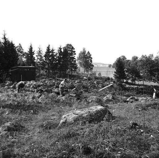 Svedvi sn Rallsta RAÄ 16 Arkeologisk undersökning utförd av Vlm / Henry Simonsson 1960-61.

Del av gravfältet med personalens kupor i bakgrunden.