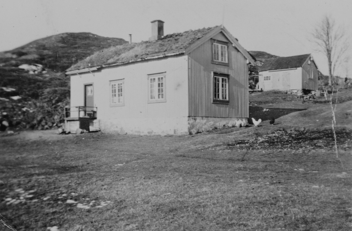 Prospektbilde : Fiskarheim på Vedø, Hitra.
