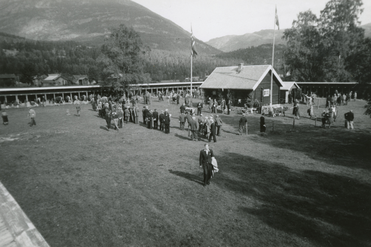 8 bilde frå Seljordutstillinga/Dyrskun i 1941.  Foto Karsten Baardseth.