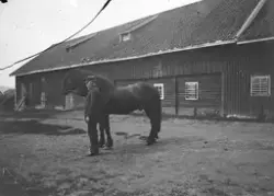 Ringsaker Lille gård, Vesleringsaker, mann med hest foran lå