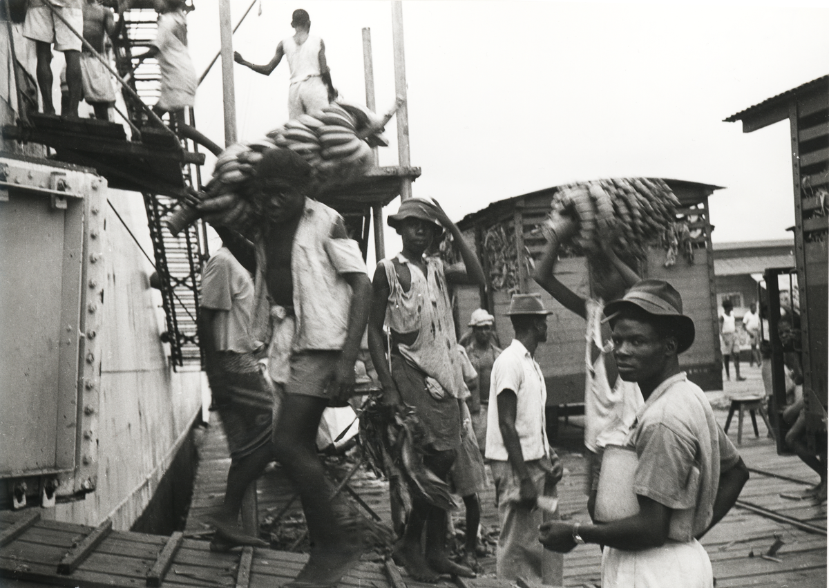 [från Fotobeskrivning:] "Bananlastning med S/S LA PERLA (Panamaregistrerad) i Duala, Cameroon, 1948"
"Neg. inlånade från Sjökapten Sven Lantz, 1974" "Uppgifter i samband med fotografierna lämnade av honom."
