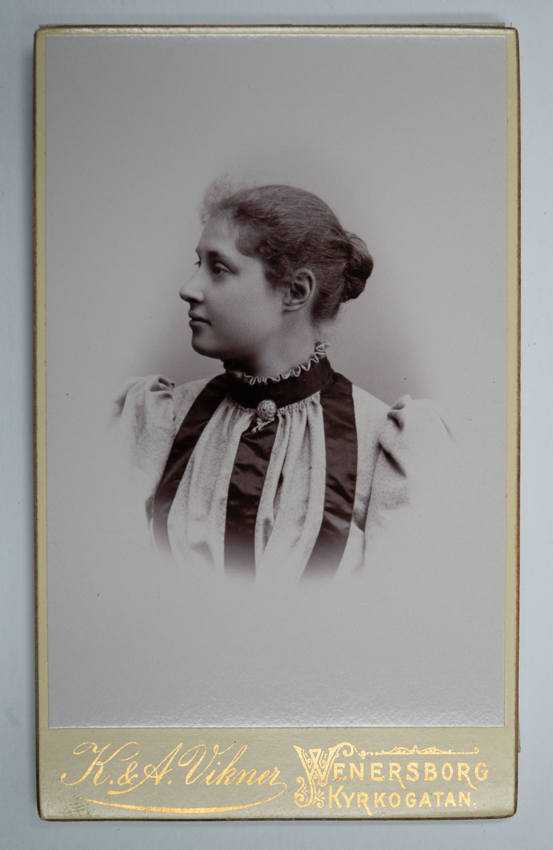 Visitkortsporträtt av okänd kvinna. Fotografiet sitter i fotoalbum som tillhört Gertrud Zachau. Fotografiet sitter på sida 8.