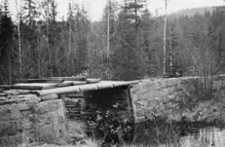 Dette fotografiet ble registrert inn i Norsk skogmuseums bil