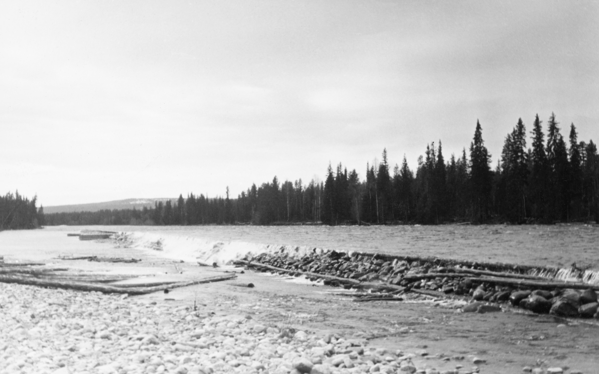 Fra den nedre delen av elva Søndre Osa i Åmot i Hedmark, mellom kraftverket ved Osfallet og Osas utløp i elva Rena. Dette bildet ble tatt våren 1937, cirka halvannet år etter at det ble utført store forbygningsarbeider på denne elvestrekningen (jfr. SJF.1989-03205 - SJF.1989-03211). Her rant elva over en slaktskrånende mo der det rennende vannet, blant annet i forbindelse med dambruddet ved Osa-kraftverket i 1916, hadde skylt med seg mye av jordsmonnet og etterlatt seg ett bredt, steinete far som antakelig var forholdsvis grunt, sjøl i flomperiodene. Dette må ha vanskeliggjort fløtinga. De nevnte forbygningsarbeidene dreide seg om å samle vannet i et smalere og djupere løp ved å flytte masse fra den foretrukne traseen ut på kantene. Dette fotografiet er tatt på et tidspunkt da det gikk vårflom i det forbygde elveløpet. På dette tidspunktet var vannføringa så stor at noe av vannet rannt over vollen og tømmerskjermen, uten at det ser ut til å ha gjort skade.