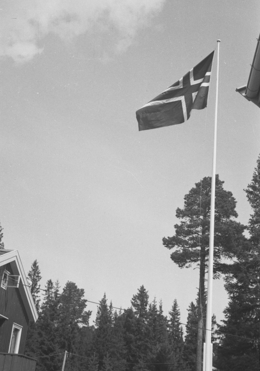 Flaggstang med et norsk flagg, ved Haukåsen sykehus.
