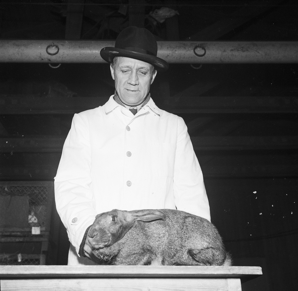 Ivar Johansson med kanin, Ultuna, Uppsala 1950