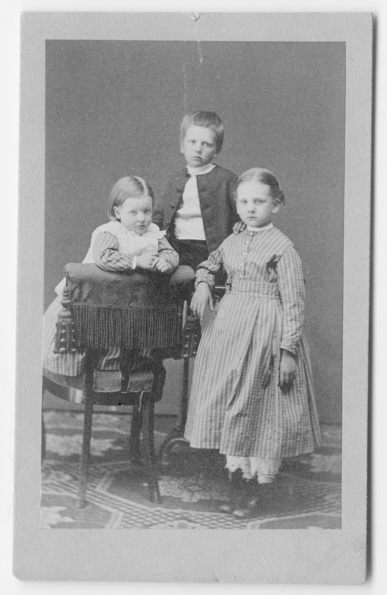 På kuvertet står följande information sammanställd vid museets första genomgång av materialet: Barnporträtt
Wilhelm o Alfred Dahlgren