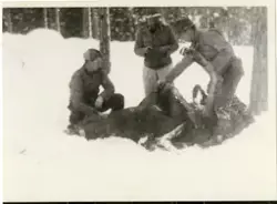 "Skauguttleiren" på Hoppefjell 2. verdenskrig