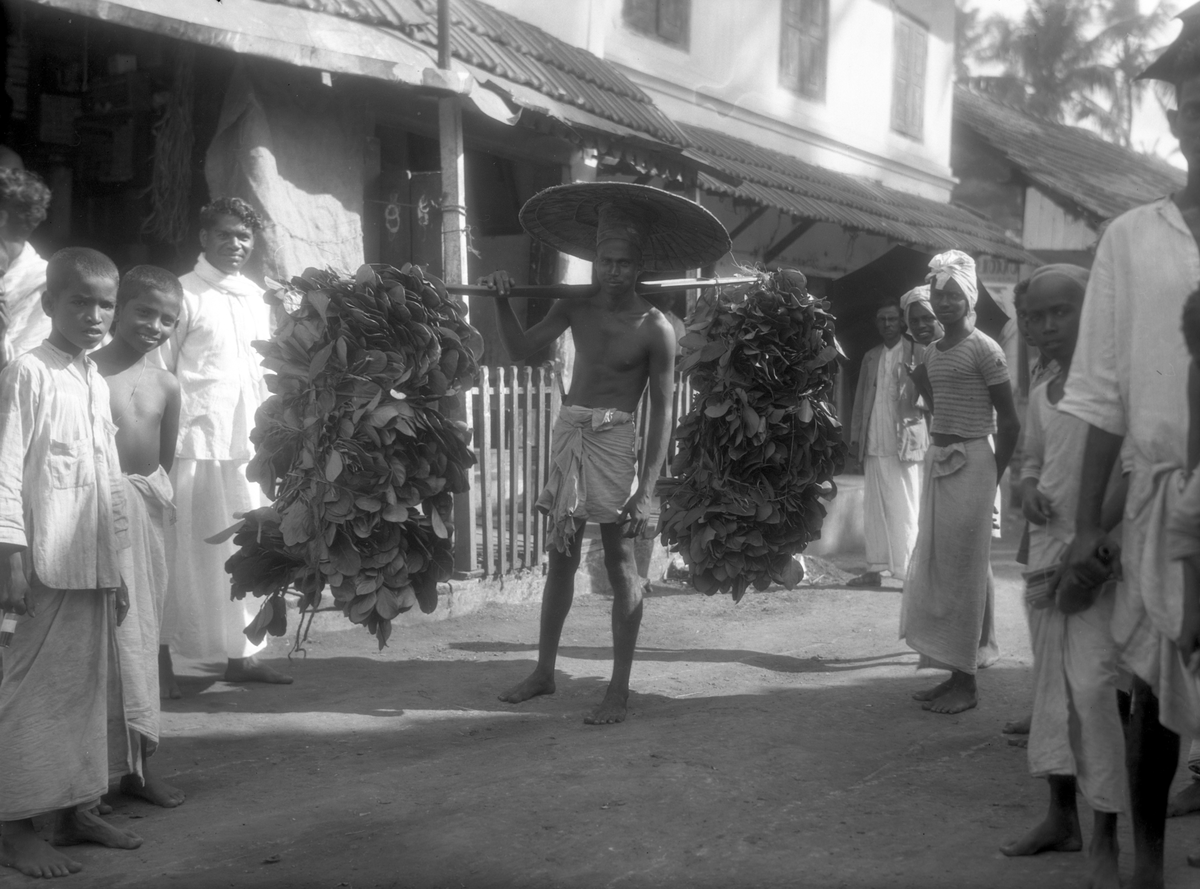 En kjøpmann med betelblader. Fotografi tatt i forbindelse med Elisabeth Meyers reise til India 1932-33.