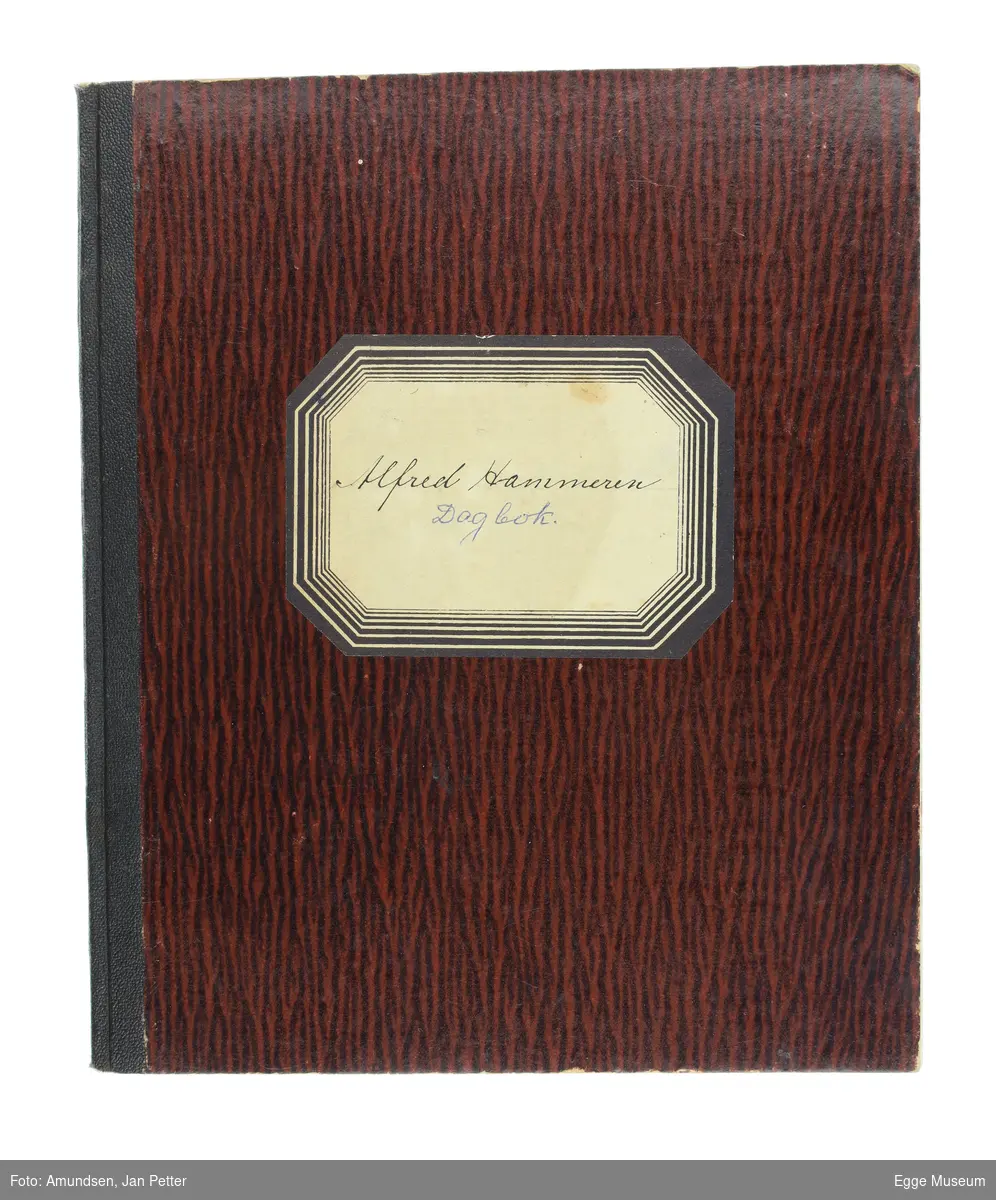 Dagbok skrevet mellom 1918 - 1920