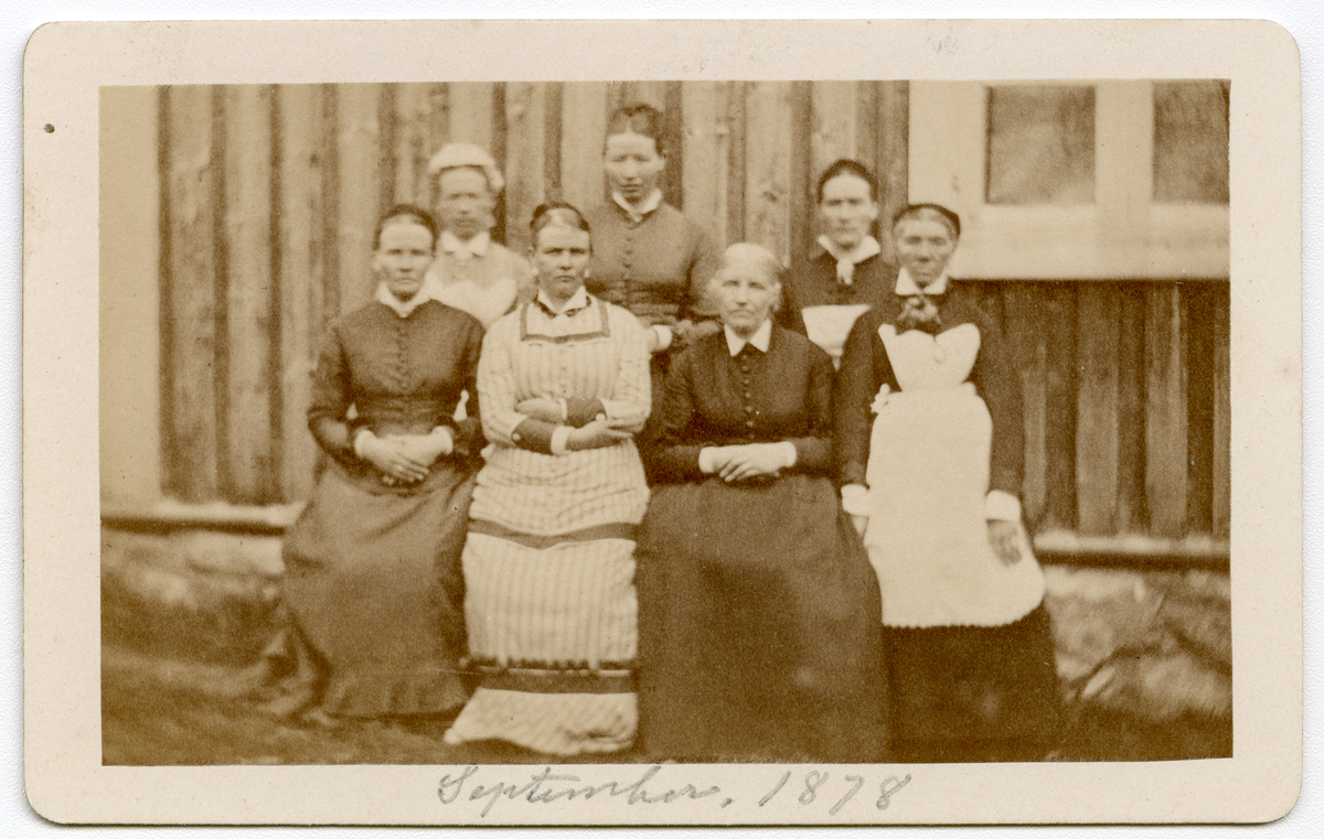 Foto av ukjente kvinner, antagelig med tilknytning til Dal gård. Kvinnene som har forklær kan være tjenestepiker eller ansatt i andre stillinger på gården. Foto tatt i  September 1878.