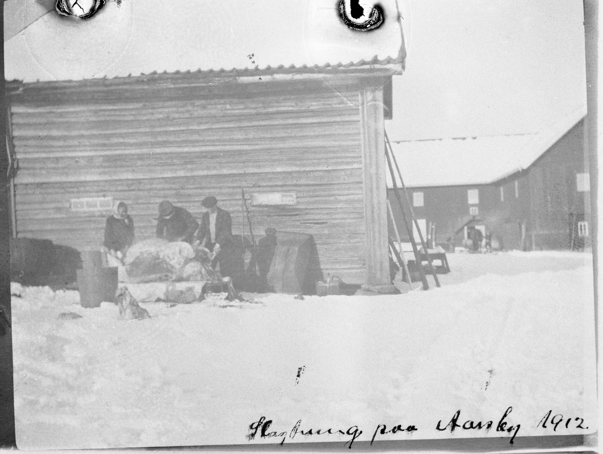 Personer
Slakting på Aarsby (Totenvika) 1912. Ingen annen informasjon enn det som er skrevet under bildet foreligger.