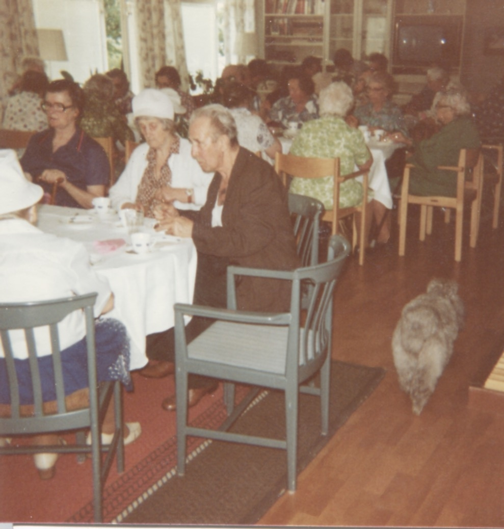 Flertalet personer sitter och fikar tillsammans, okänd plats och årtal. Boende från Brattåshemmet och Brogården är på gemensam utflykt till en restaurang. Till höger ses en katt som går på golvet.