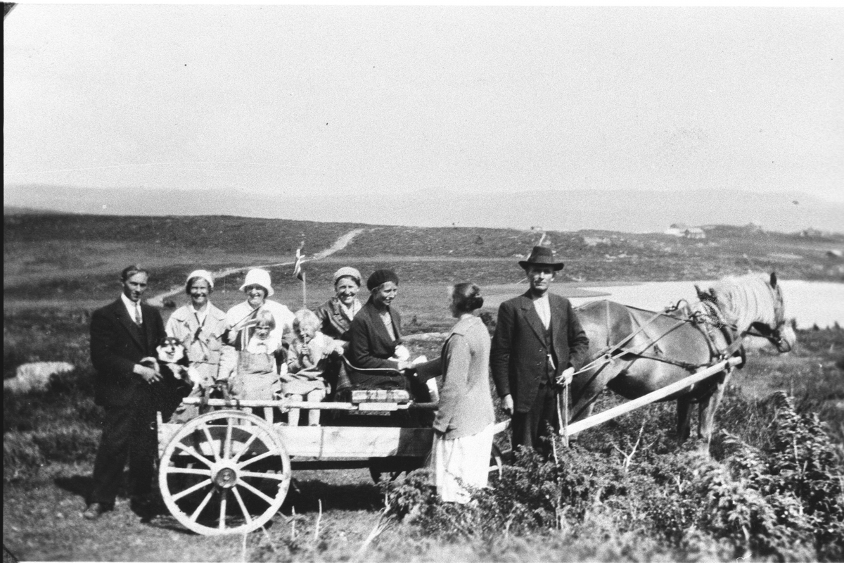 Gruppe,hest,vogn,jakke,hatt,kjole og flagg.
Kjøyrekar er Asle Kinnebergbråten.
Bilde er tatt frå Gravarstølen med utsikt mot Snuforinkje.