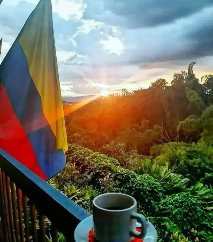 Soloppgang over frodig skogslandskap, et columbiansk flagg henger i solstrålene til venstre i bildet, og i nedre billedkant er en kaffekopp på skål.