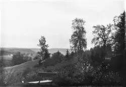 Rishaugen, Idd med Stor-Holm i bakgrunnen sept. 1890.