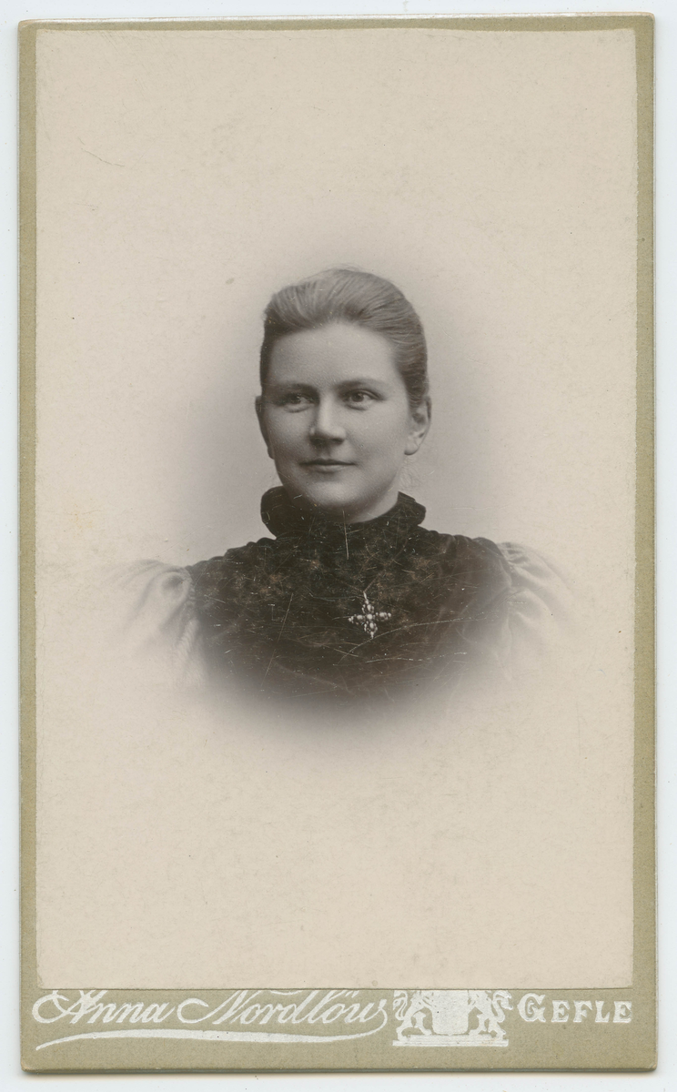 Porträtt på Hedvig Nylander. April år 1896.