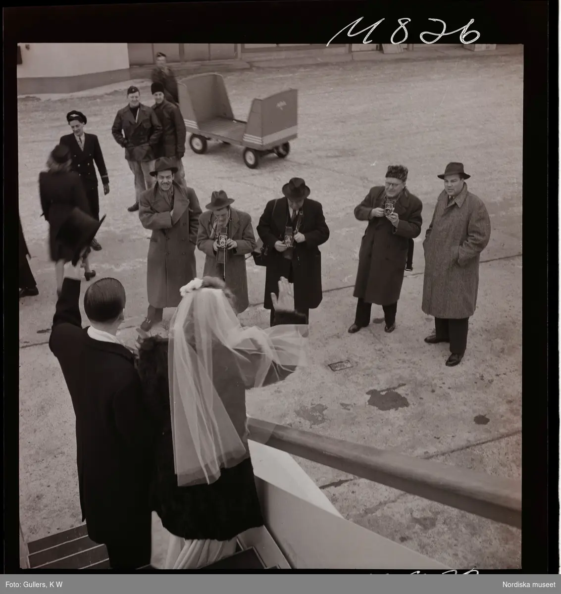 "1680 Bröllop i luften med Abas DC-4 ""Sunnan"" till Paris " Ett brudpar går nedför trappan till ett flygplan. Nedanför väntar fotografer.