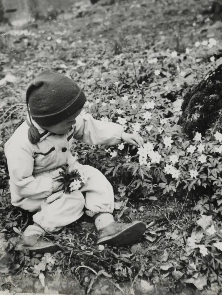 En liten gutt sitter i hvitveisengen. Han har plukket en bukett.