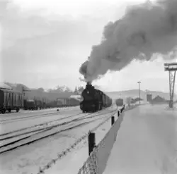 Damplokomotiv type 39a med godstog på Gjøvik stasjon