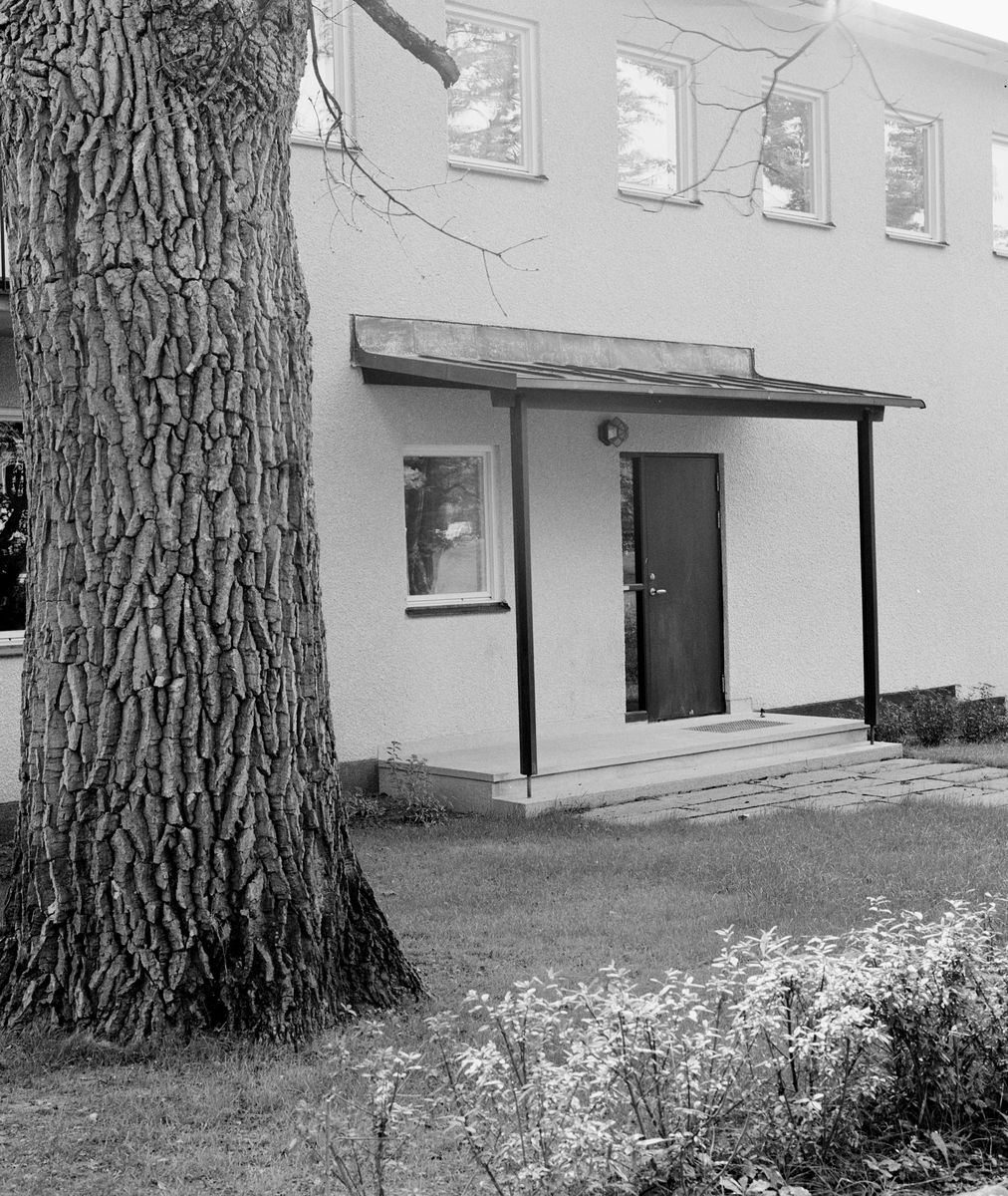 Villa Giertz
Exteriör, entrén under skärmtak, trädstam i förgrunden