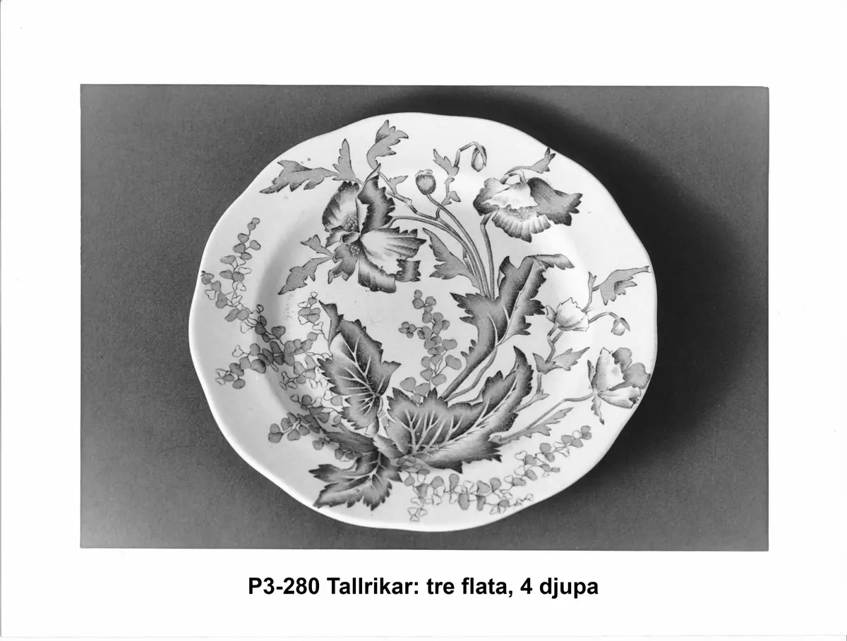 Porslin
Vita med grågrön dekor
Flata: 2,5 cm höga, 23 cm i diameter
Djupa: 3,5 cm höga, 23,5 cm I diameter
Från Rörstrand "Wallmo" BR5 CB9