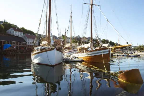 Bilde av treskøyter, Mellemværftet i bakgrunnen