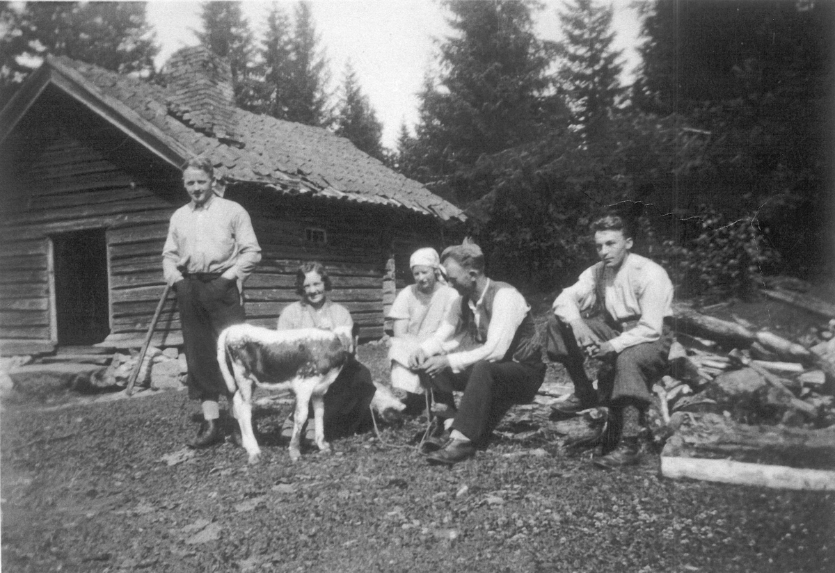 Til venstre Henry Larsen Ulleberg, til høyre Olav Hvamb,
 Budeie (i hvitt) Sigrid Hostvedt. 
Sigrid drev seterbruk til 1964.
De andre personene ikke identifiserte.