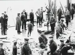 Arbeidsliv på kaia på Melbu i 1908
