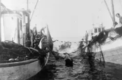 Flere menn ombord i to fiskebåter, "Fritjof" fra Nordnesøy o