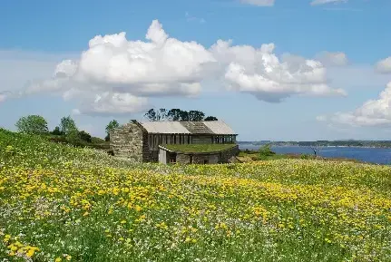 Informasjonsbygget på Lyngheisenteret i mai, med blomstereng