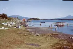 "Fra Hjertøya, sommeren 1961"