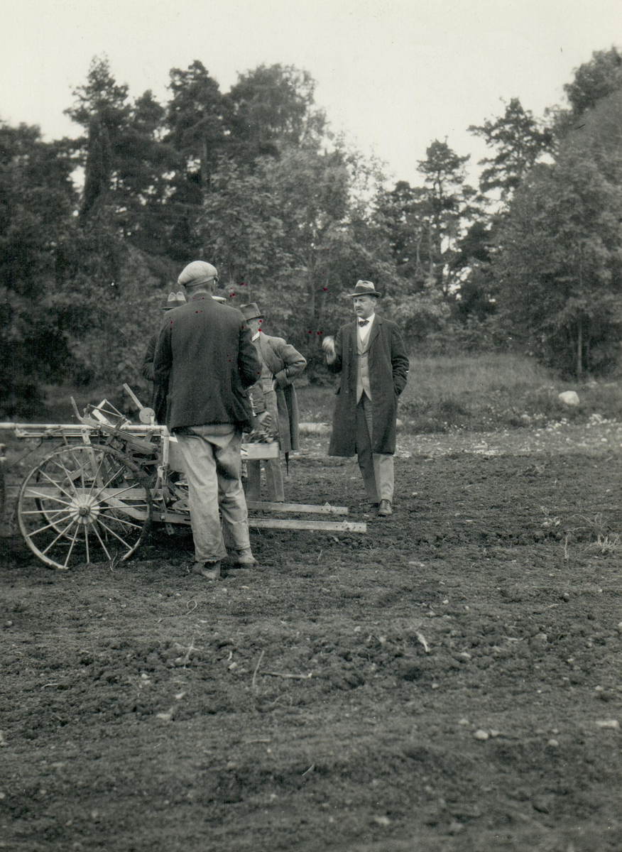 Skördemaskin används på en tobaksodling i Prästnibble 1921.