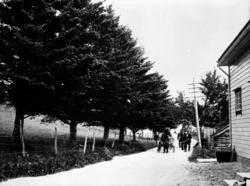 Slett@romsdalsmuseet