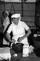 Nesjestranda Husmorlag med flere på Romsdalsmuseet 1984.